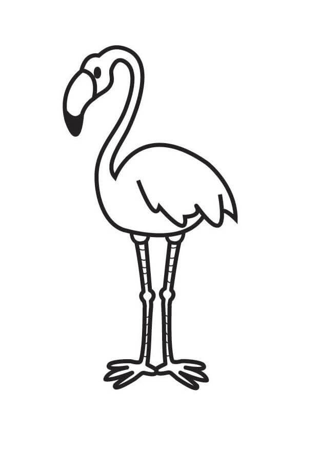 Desenhos de Flamingo de Desenho Simples para colorir
