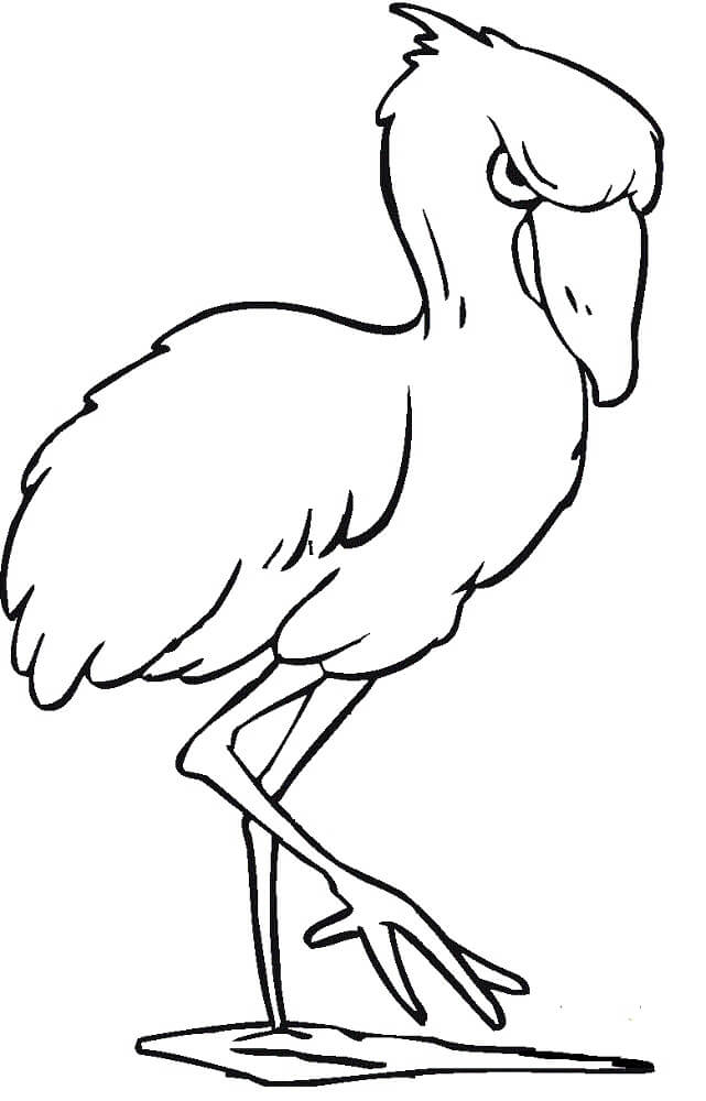 Flamingo Irritado para colorir