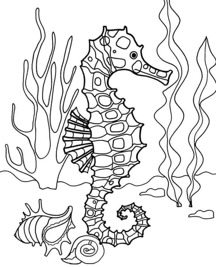 Desenhos de Grande Cavalo-marinho para colorir
