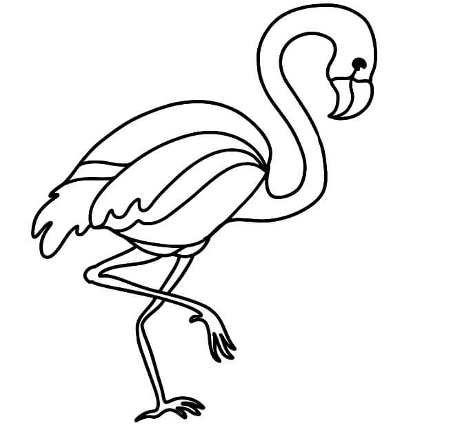 Grande Flamingo para colorir