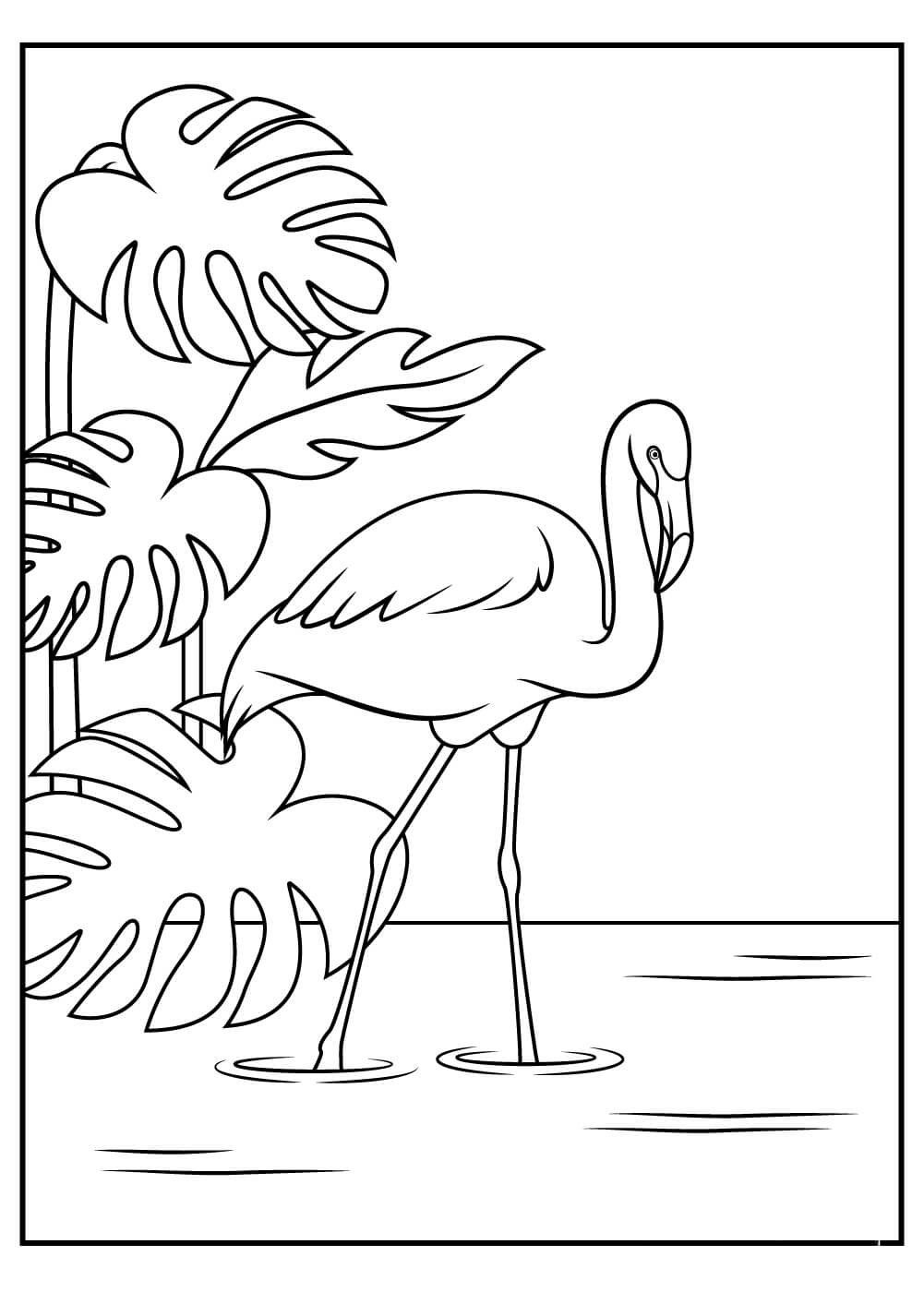 Desenhos de Imagens grátis de Flamingos para colorir