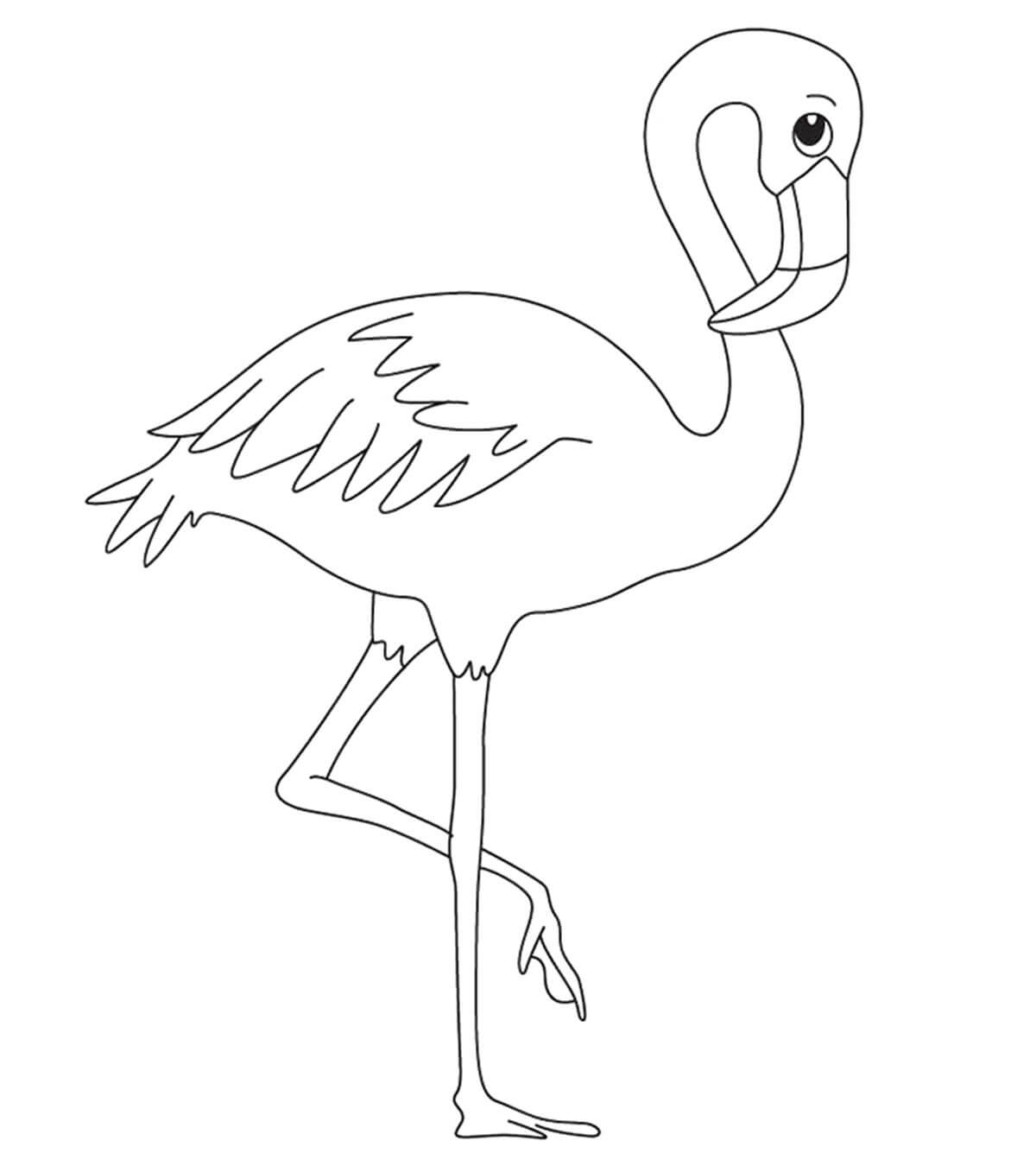 Impressionante Flamingo para colorir