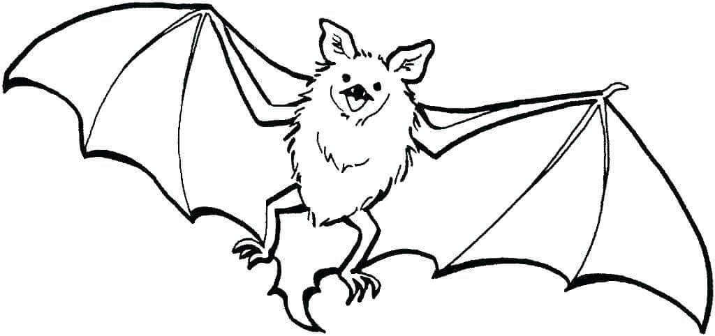 Desenhos de Morcego Grande para colorir