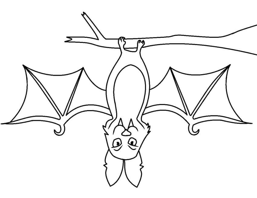Desenhos de Morcego Pendurado de Cabeça para Baixo em um Galho de Árvore para colorir