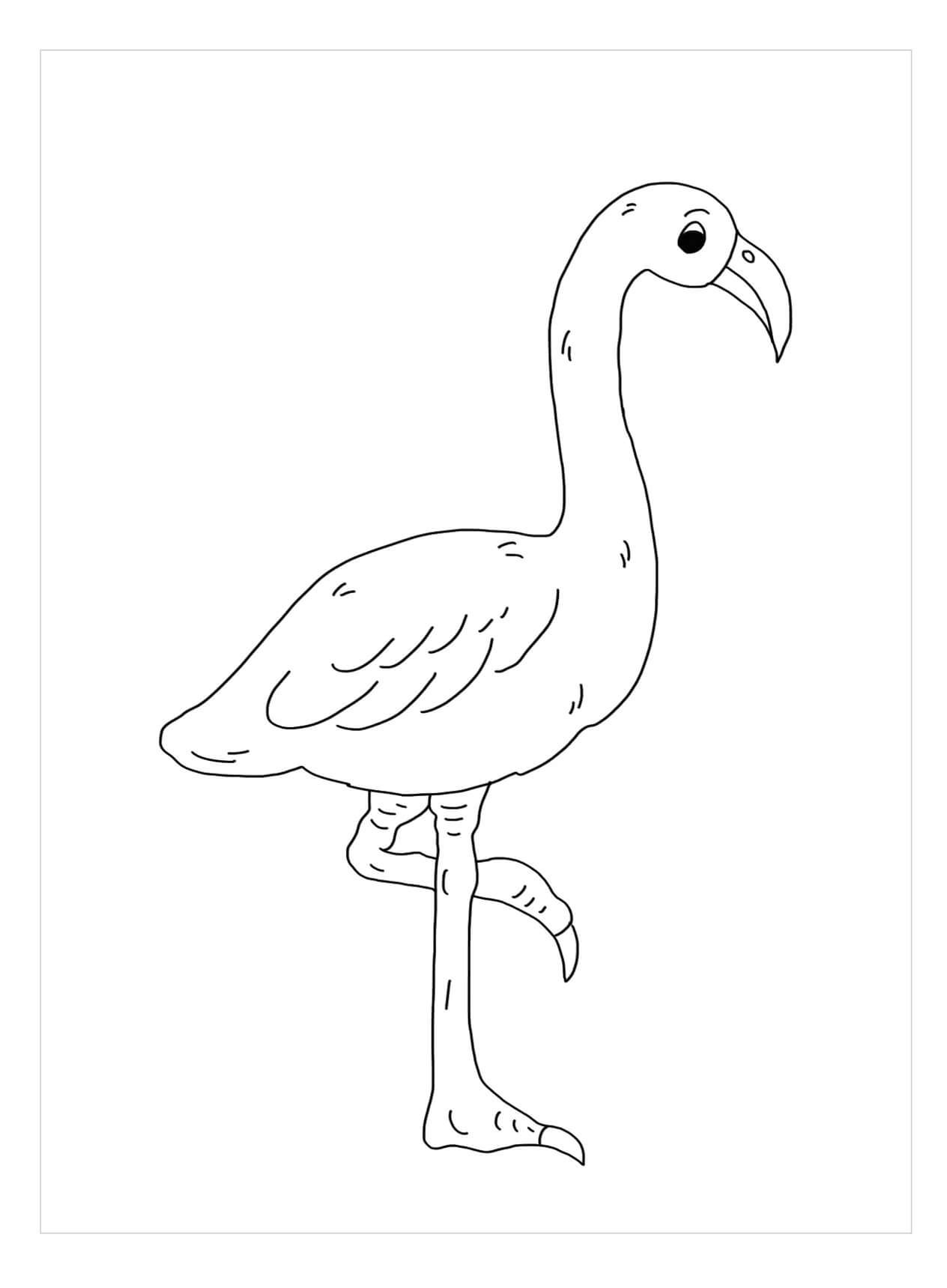 Pequeno Flamingo para colorir