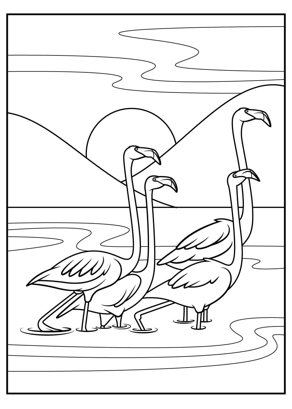 Quatro Flamingos para colorir