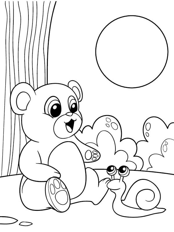 Urso E Caracol para colorir