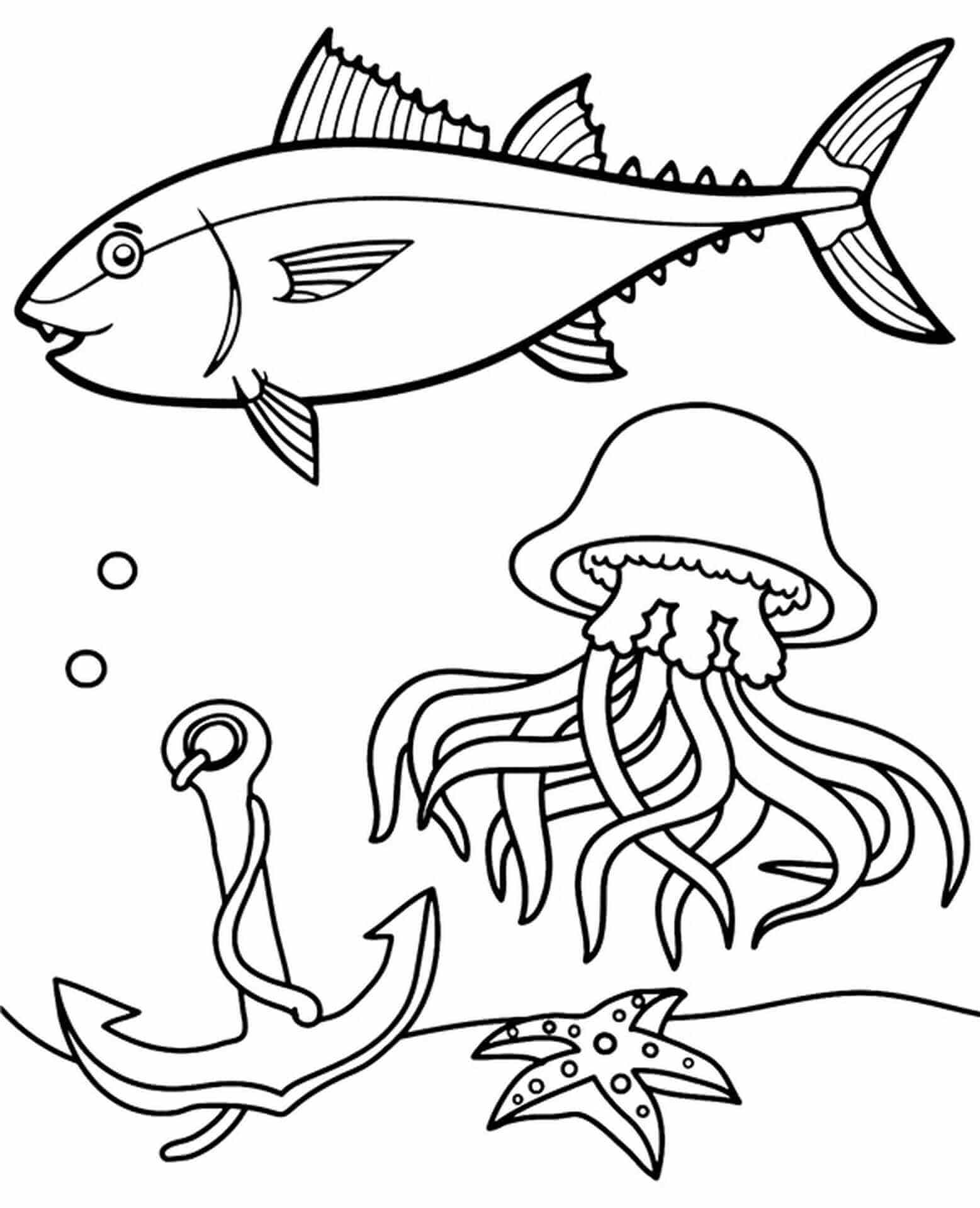Desenhos de Água-viva, Estrela do mar e Peixe para colorir