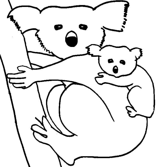 Desenhando a Mãe coala e o Bebê Coala para colorir