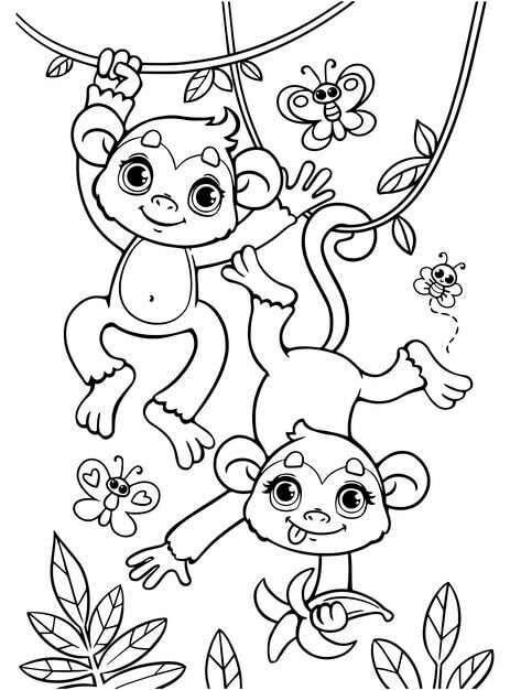 Desenhos de Dois Macacos e Borboletas no Zoológico para colorir