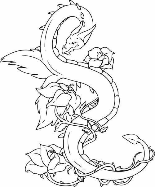 Desenhos de Dragão de Tatuagem de Flor para colorir