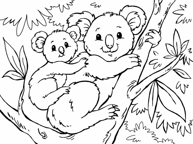 Desenhos de Mãe Koala com bebê Koala na Árvore para colorir