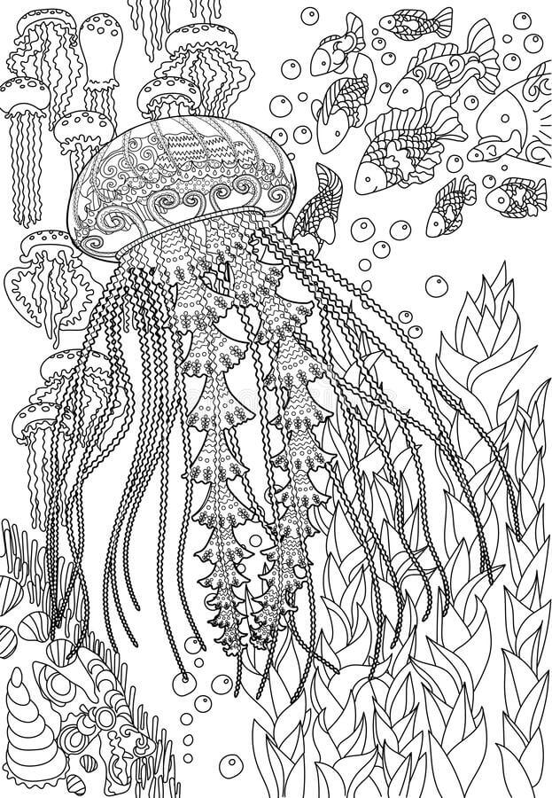 Desenhos de Mandala de Água-viva para colorir