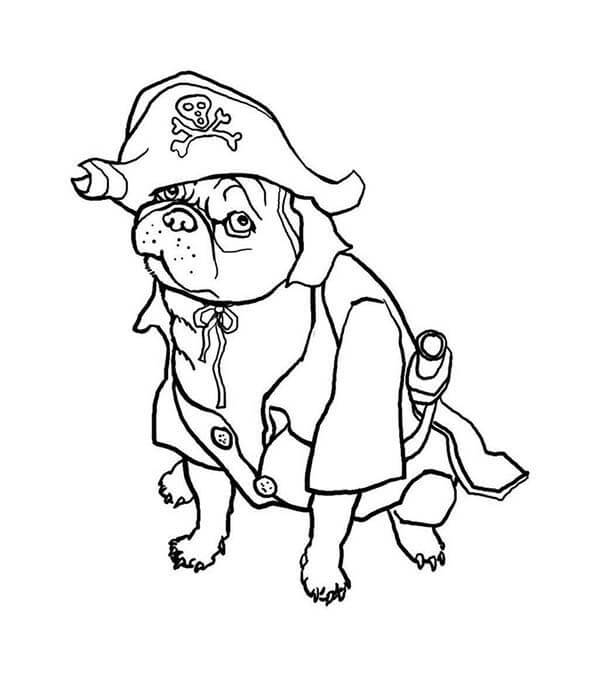 Pirata do Cão para colorir