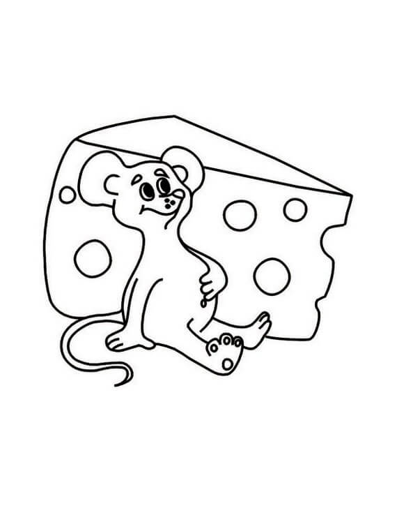 Desenhos de Rato Adorável para colorir