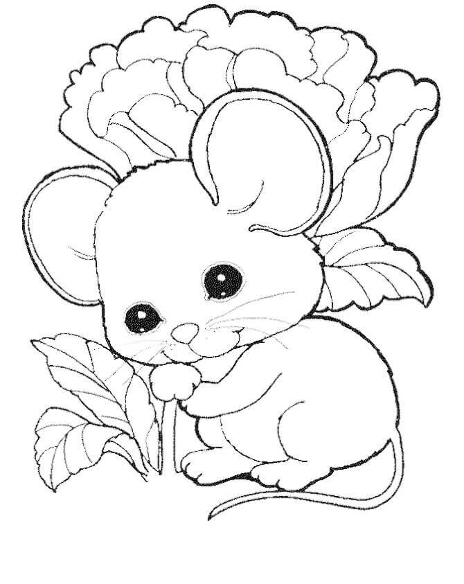 Desenhos de Rato Fofo para colorir