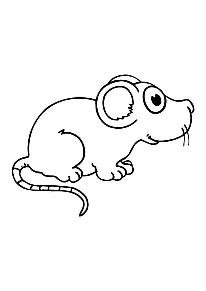 Desenhos de Rato Normal para colorir