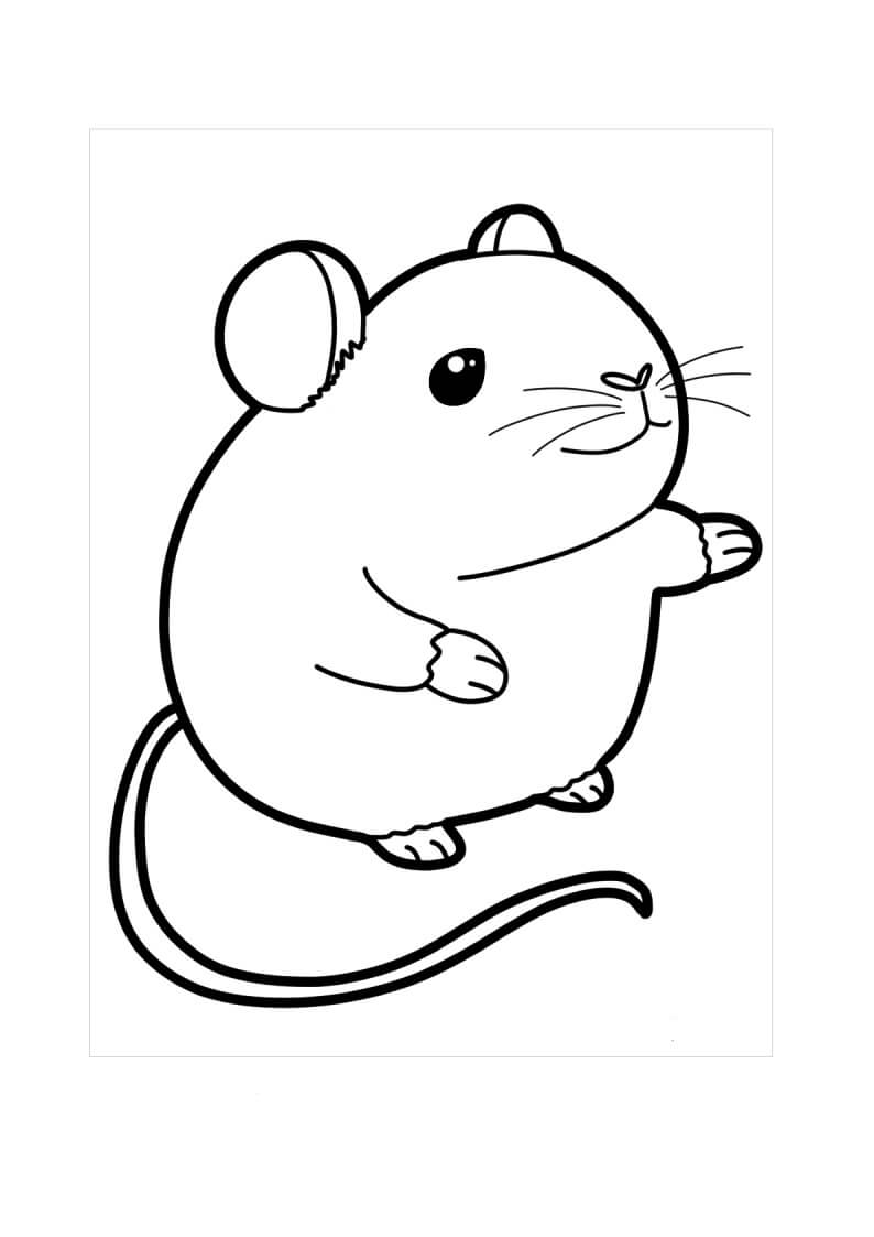 Rato Sorridente Bonito para colorir