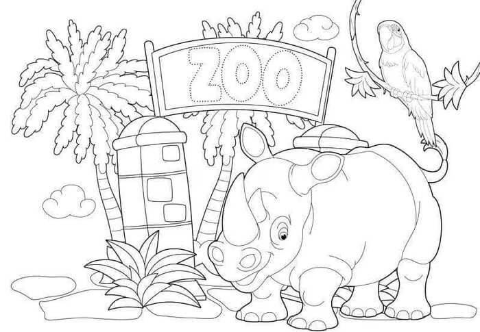 Rinoceronte e Papagaio Estão no Zoológico para colorir