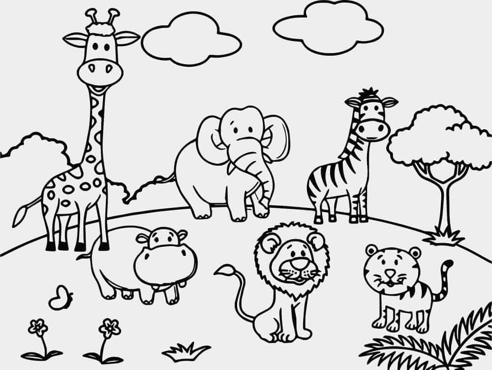 Seis Animais no Zoológico para colorir