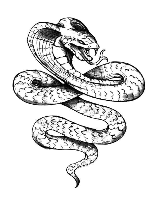 Desenhos de Tatuagem Cobra Rei para colorir