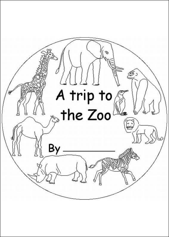 Uma viagem ao Zoológico para colorir