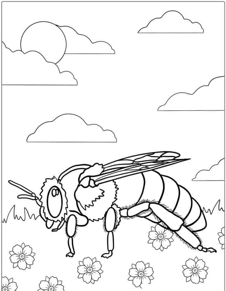 Desenhos de Desenhe abelha livre para colorir