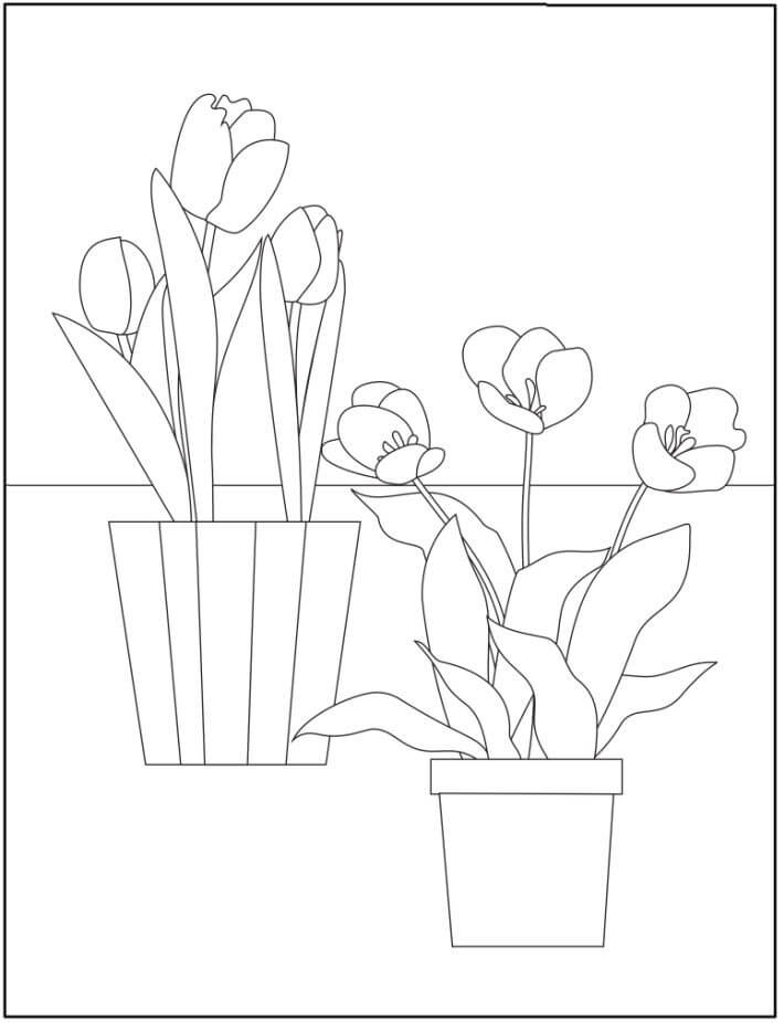 Desenhos de Dois Vasos de Flores para colorir