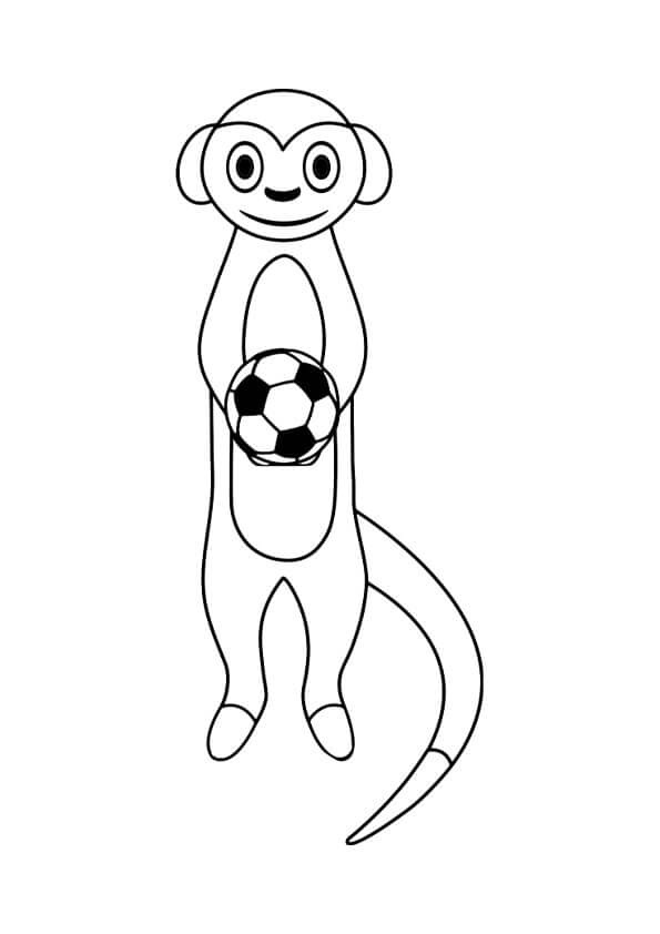 Desenhos de Meerkat Segurando uma Bola de Futebol para colorir