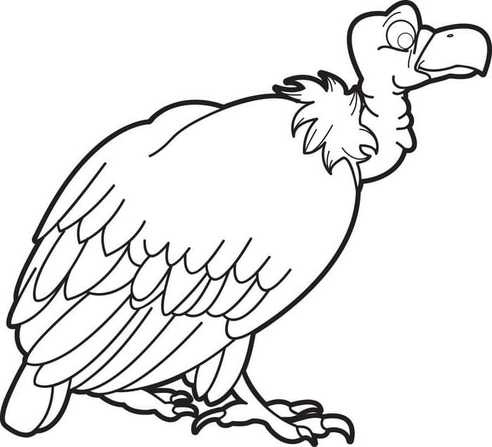Desenhos de Abutres imprimíveis de pássaros para colorir