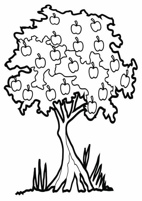 Desenhos de Contorno de imagem de macieira imprimível para colorir