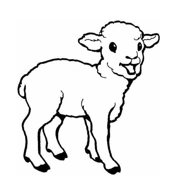 Contorno de ovelha fofa para colorir