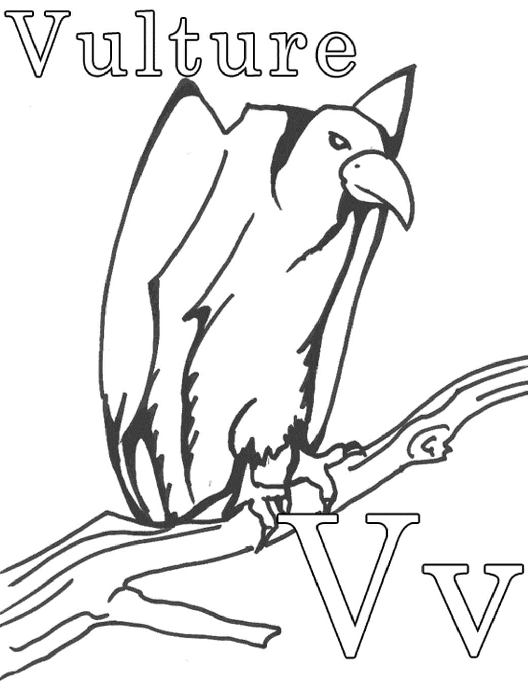 Esboço de imagem de abutres para impressão para colorir