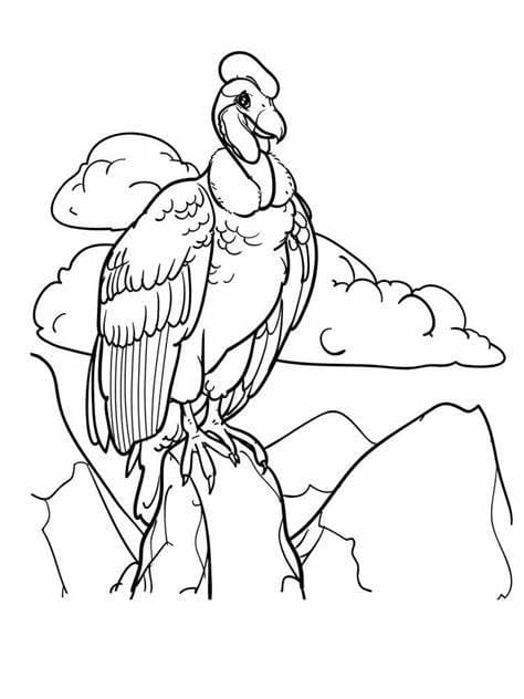 Imagem de abutre para colorir