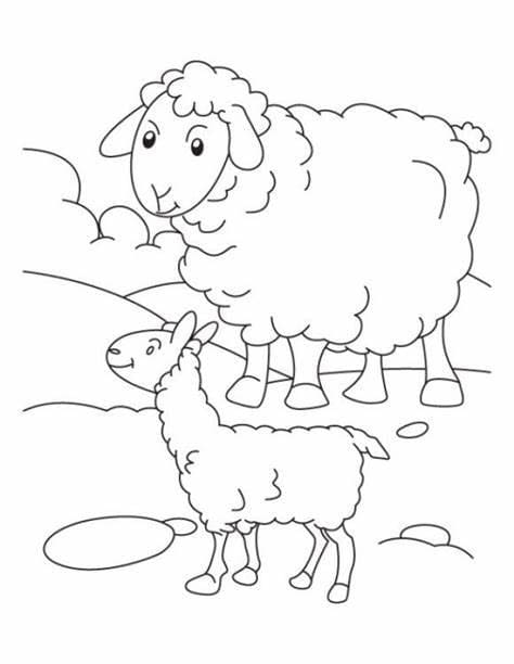 Desenhos de Imagem de duas ovelhas para colorir