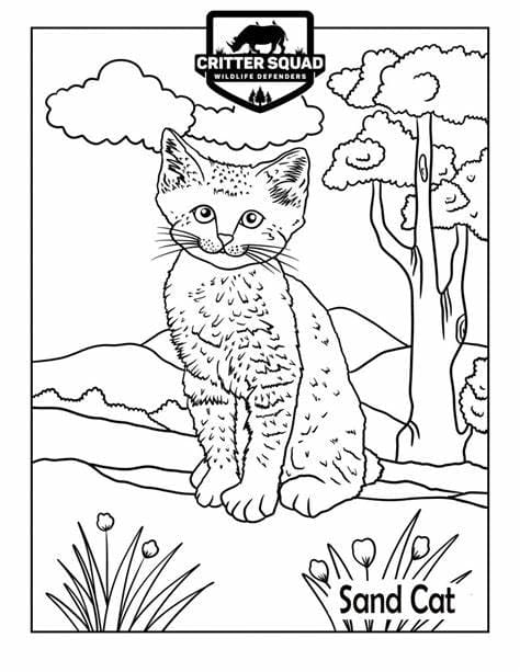 Imagem de gato para colorir