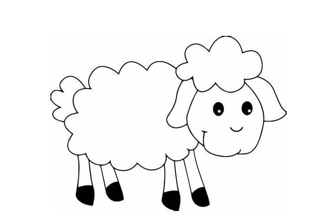 Imagem de ovelha engraçada para colorir