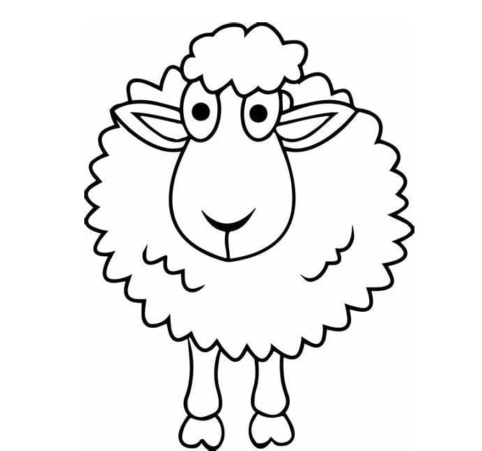 Imagem de ovelha fofa para colorir