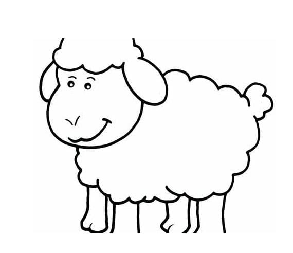 Imagem de ovelha para impressão HD para colorir