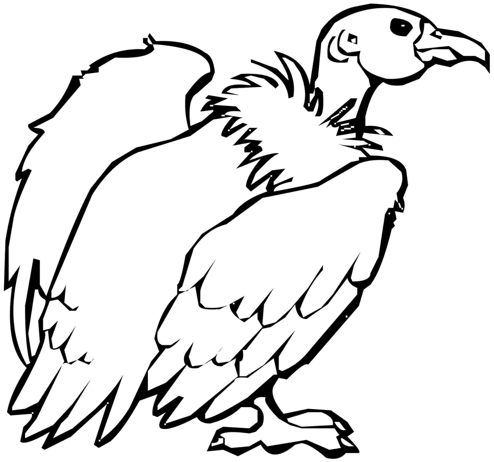 Desenhos de Impressão gratuita de esboços de abutres para colorir