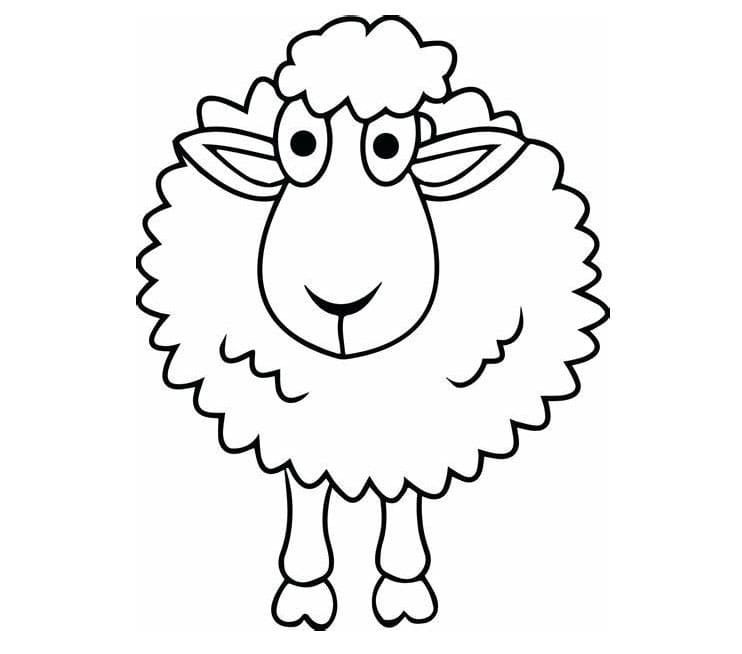 Imprimir ovelhas para colorir