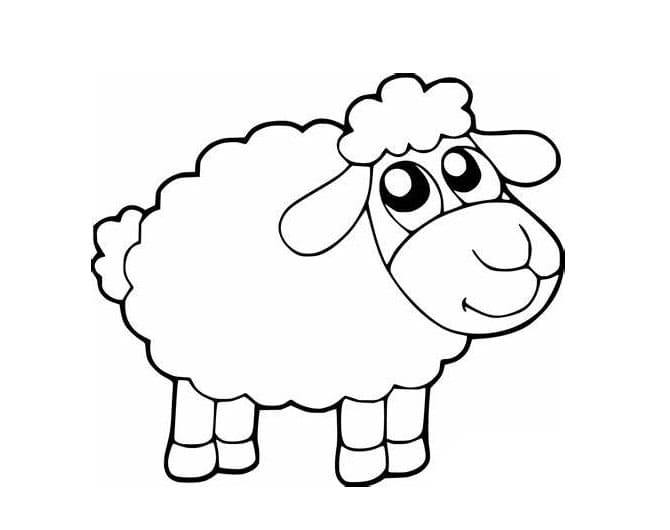 Linda ovelha para colorir