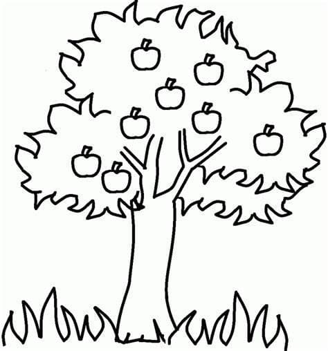 Desenhos de Macieira grátis para colorir
