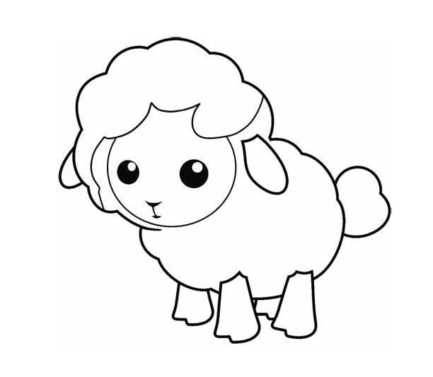 Desenhos de Ovelhas para crianças para colorir