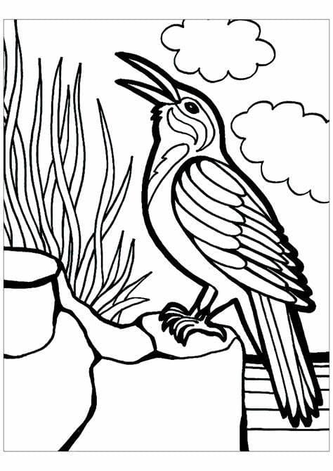 Desenhos de Aves JPG para colorir