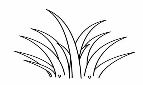 Desenhos de Contorno de imagem de grama grátis para colorir