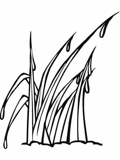 Desenhos de Contorno de imagem de grama para colorir