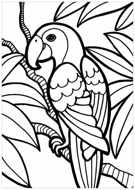 Desenhos de Contorno de imagem de pássaros imprimíveis para colorir