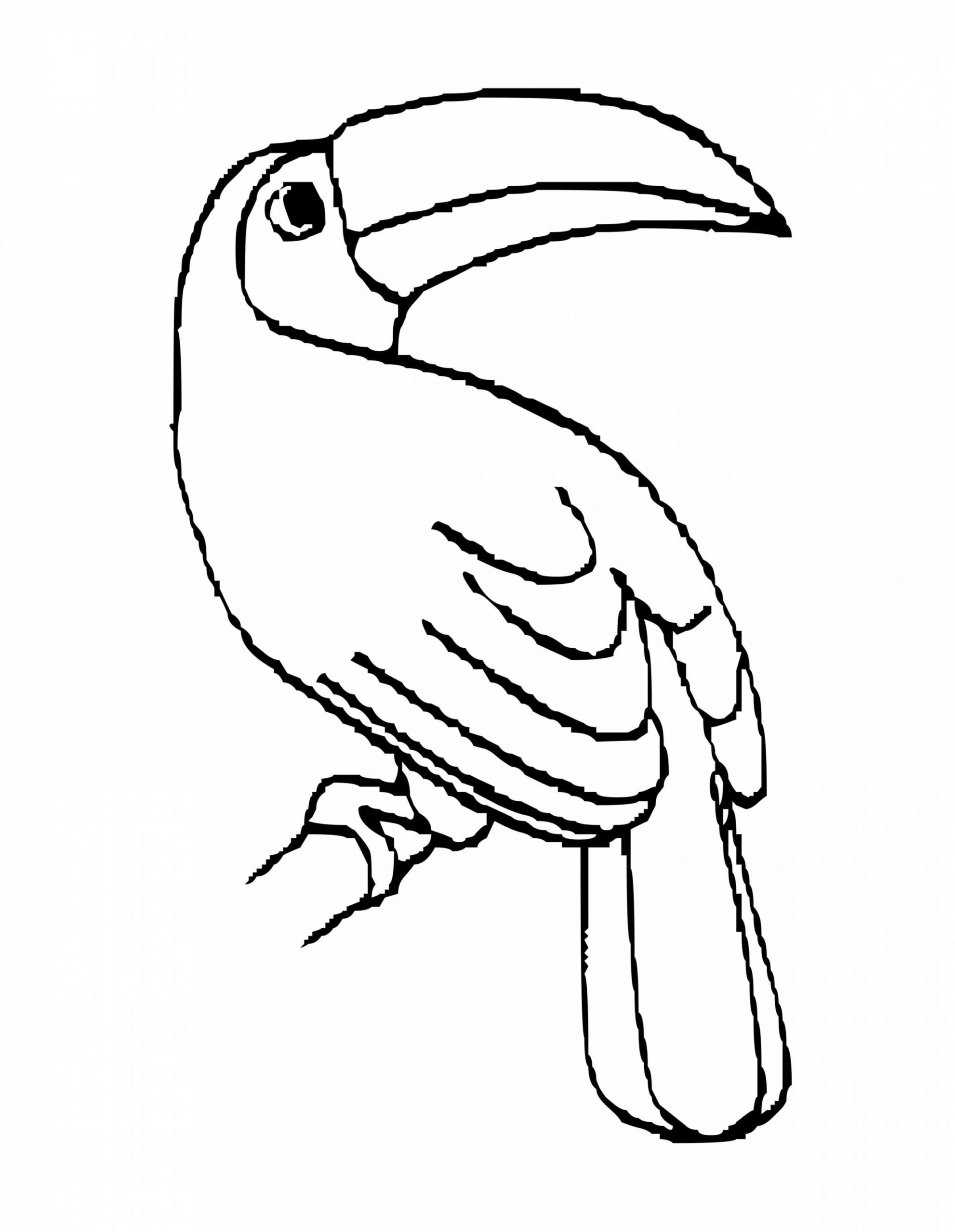 Desenhos de Contorno de imagem de tucano imprimível para colorir