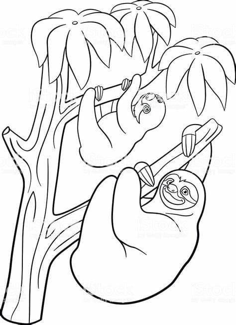 Desenhos de Contorno de preguiça grátis para colorir